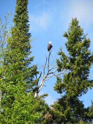 Allen Kurko - IMG_0642.JPG